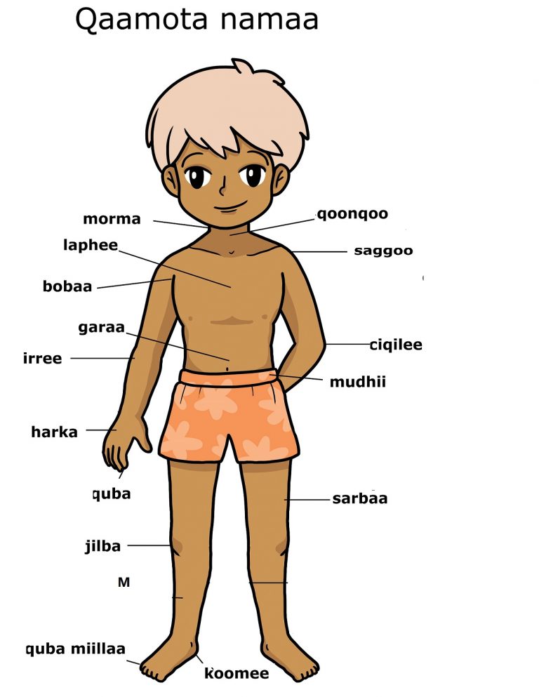 lesson-2-body-part-names-learn-oromo-language-and-culture